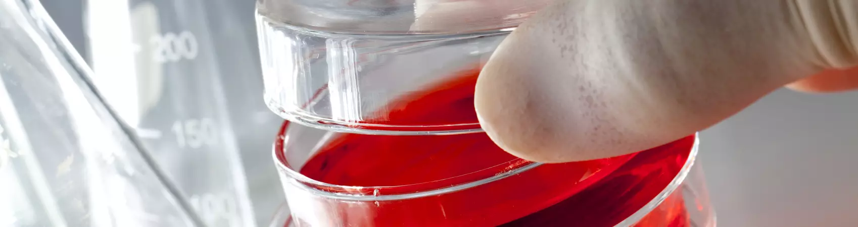 Requaconsult - Base de données