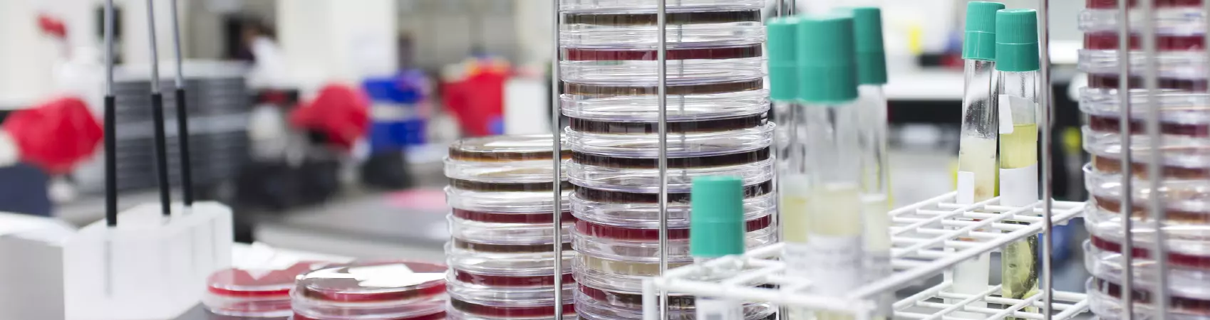 Requaconsult - Laboratoire